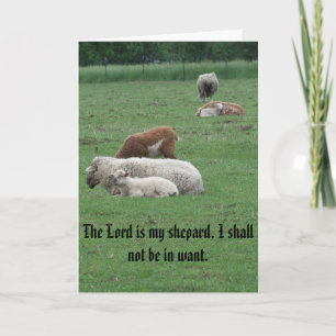 Sheep, Psalm, Peace, Joy, Love Holiday Card