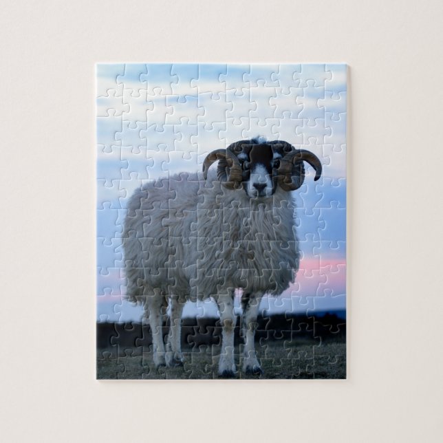 Sheep Puzzle/Jigsaw with Tin Jigsaw Puzzle (Vertical)