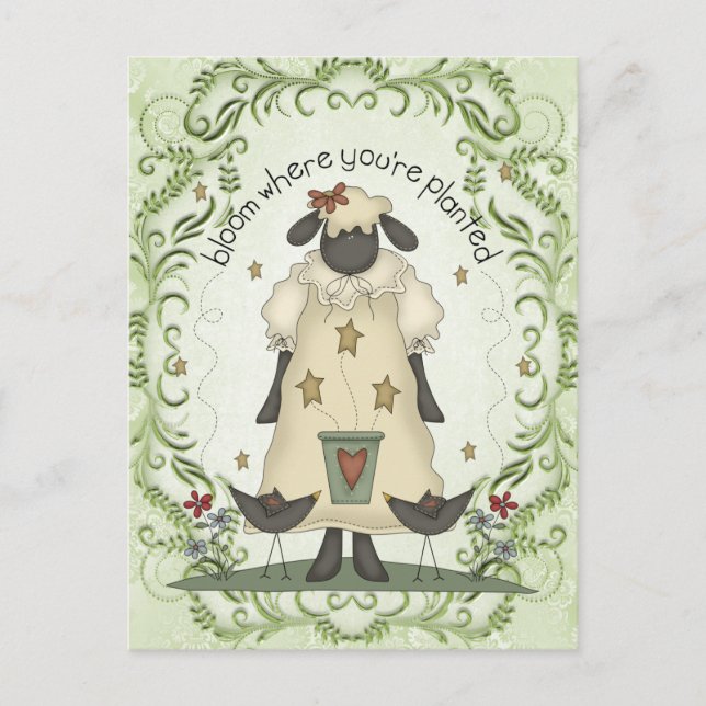 Sheep sentiment fun cartoon postcard (Front)