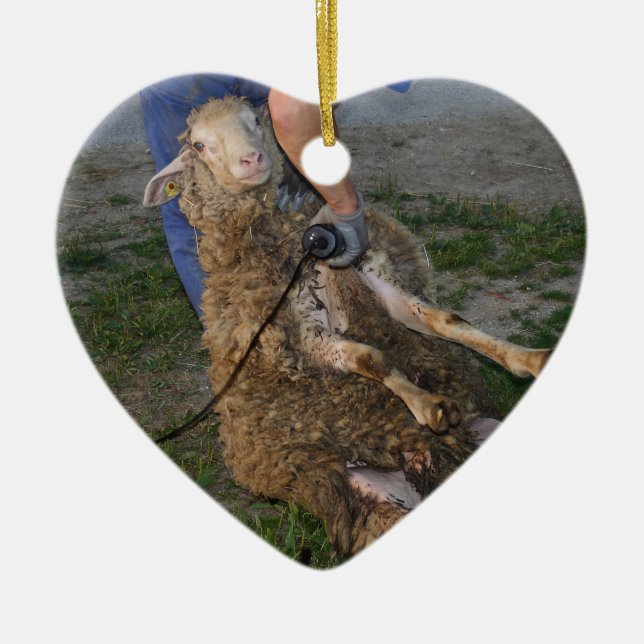 Sheep Shearing Ceramic Ornament (Front)