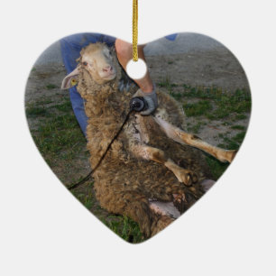Sheep Shearing Ceramic Ornament