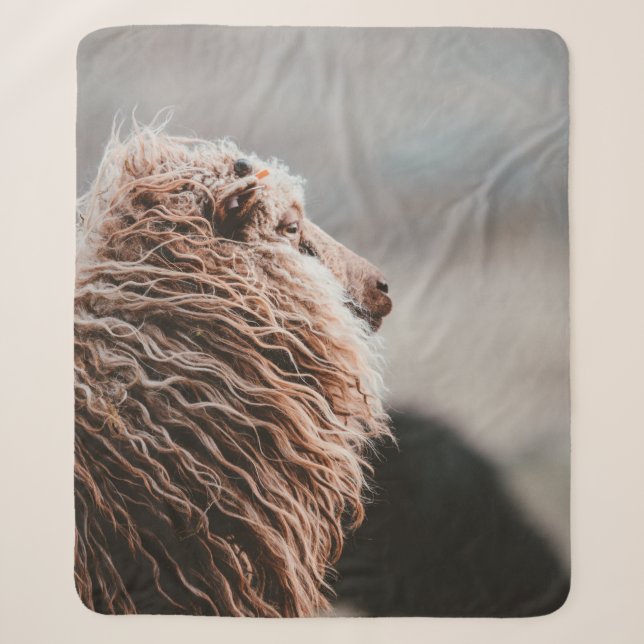 SHEEP SHERPA BLANKET (Front)