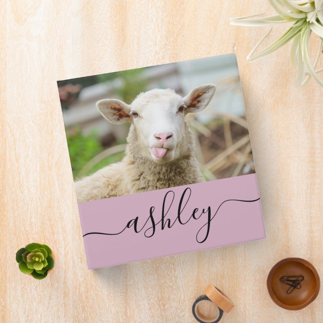 Sheep show tongue binder (In Situ)