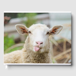 Sheep show tongue guest book