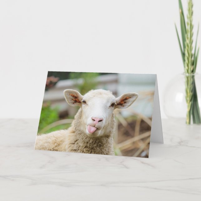 Sheep show tongue holiday card (Front)