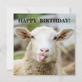 Sheep show tongue holiday card