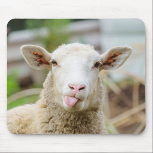 Sheep show tongue mouse pad