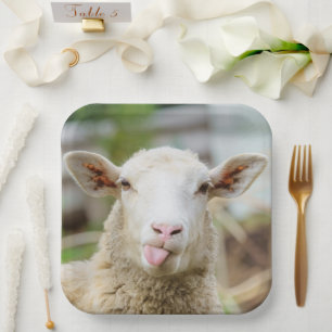 Sheep show tongue paper plate