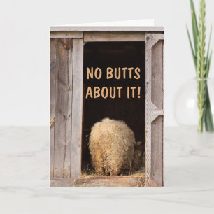 Sheep Silly Joke Get Well Card