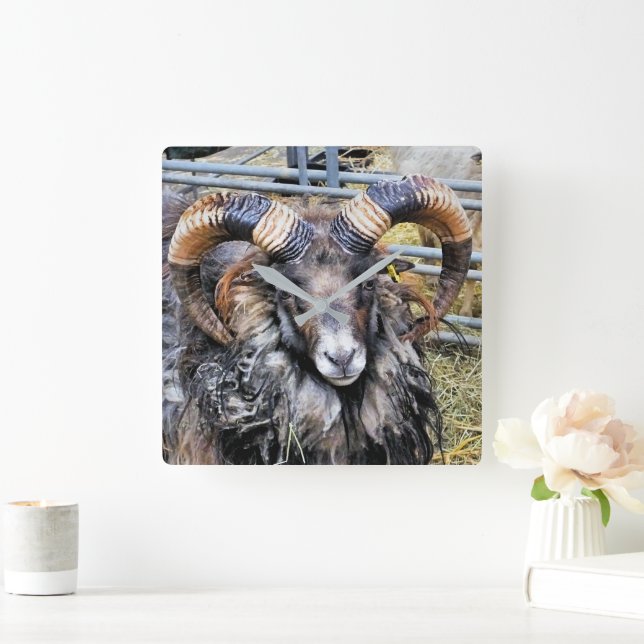 SHEEP SQUARE WALL CLOCK (Home)