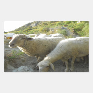 Sheep Sticker