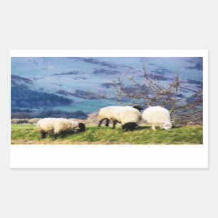 SHEEP STICKER