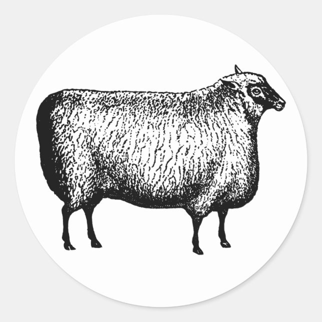 Sheep Stickers (Front)