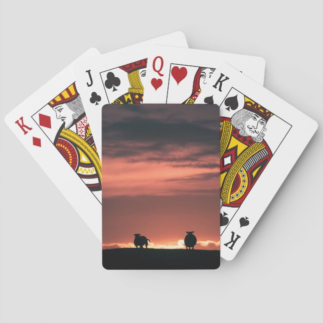 Sheep Sunset Nature Photo Playing Cards (Back)