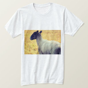 Sheep T-Shirt