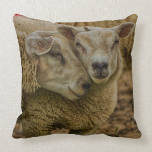 sheep throw pillow