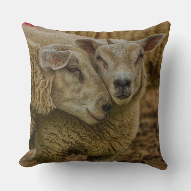 sheep throw pillow (Front)