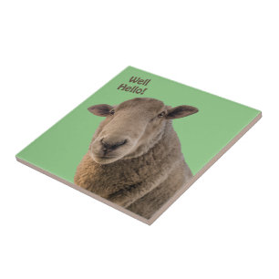 Sheep Tile