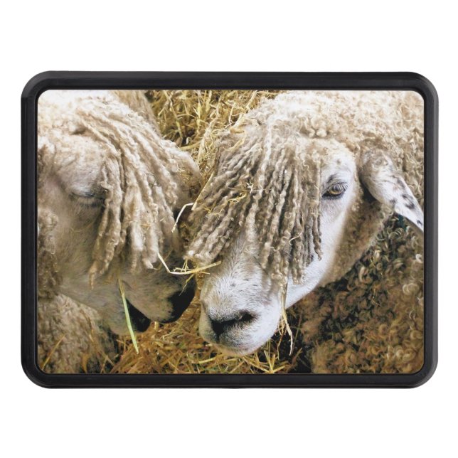 SHEEP    TRAILER HITCH COVER (Front)