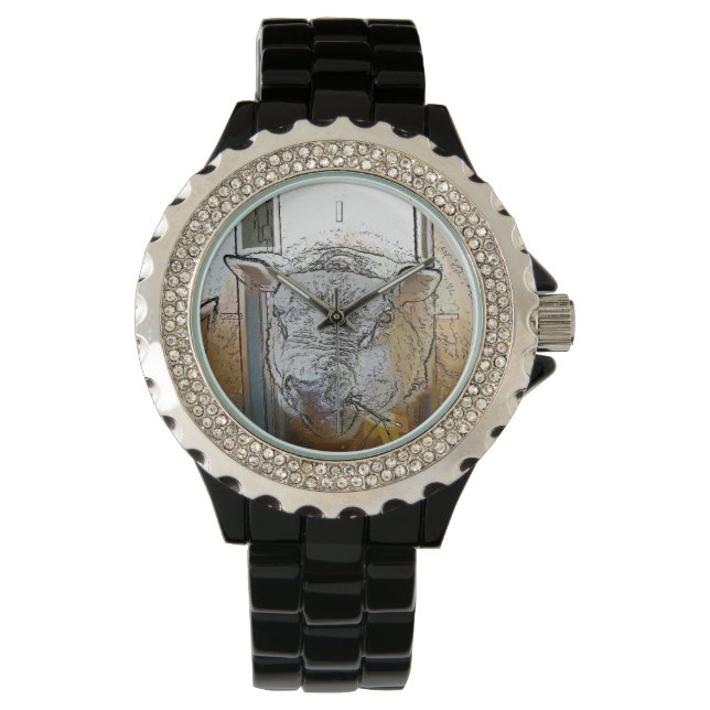 SHEEP WATCH (Front)