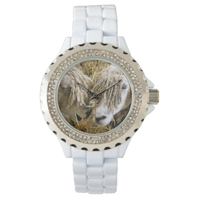 SHEEP WATCH (Front)