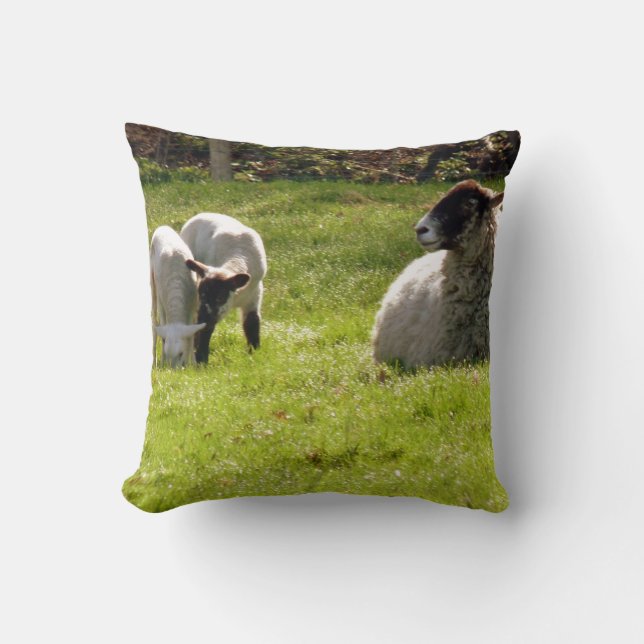 Sheep With Lambs Throw Pillow (Front)