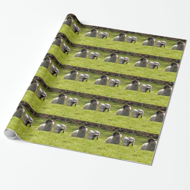 Sheep With Spring Lambs Wrapping Paper (Unrolled)