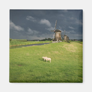 Sheep with windmills under dark clouds magnet