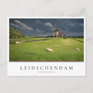 Sheep with windmills under dark clouds postcard