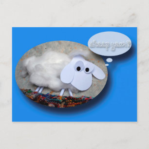 Sheep Year Cute Chinese New Year Birthday Zodiac P Holiday Postcard