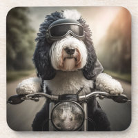 Sheepadoodle Biker Coasters