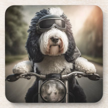 Sheepadoodle Biker Coasters