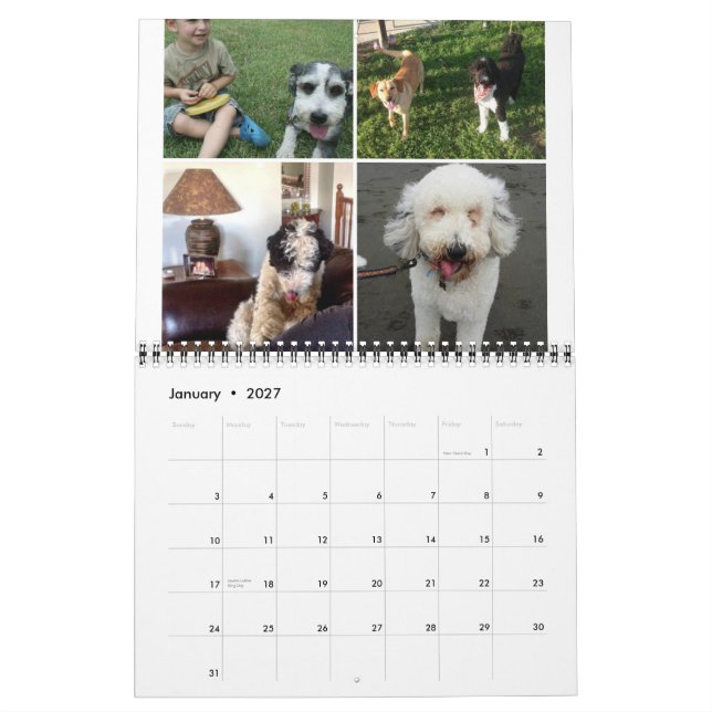 Sheepadoodle Calendar 2014-2015 (Jan 2027)