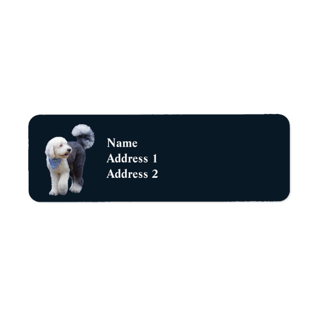 Sheepadoodle With Blue Chequered Scarf (Front)