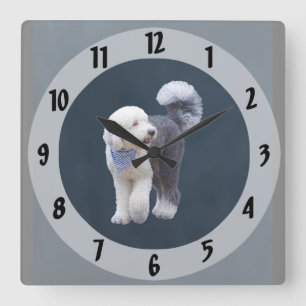 Sheepadoodle With Blue Chequered Scarf Square Wall Clock