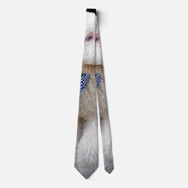 Sheepadoodle With Blue Chequered Scarf Tie (Front)