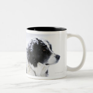 Sheepdog (Akbash/collie mix) lying out during Two-Tone Coffee Mug