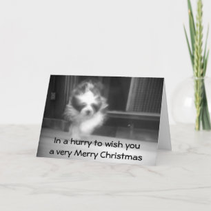SHEEPDOG CHRISTMAS WISHES HOLIDAY CARD