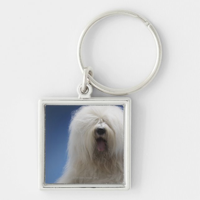 Sheepdog Keychain (Front)