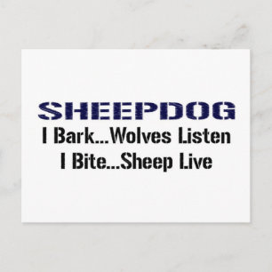 Sheepdog Postcard