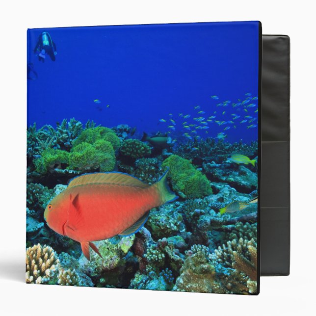 Sheephead Parrotfish Scarus Binder (Front/Inside)
