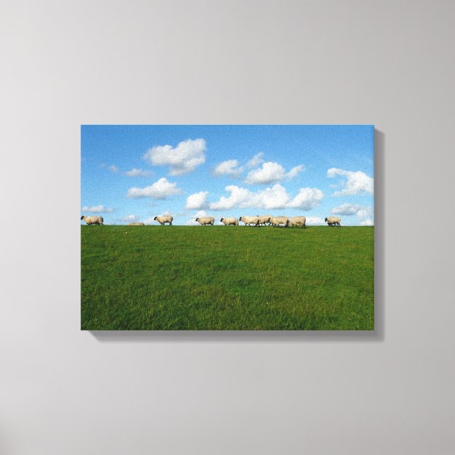 Sheeps canvas print (Front)