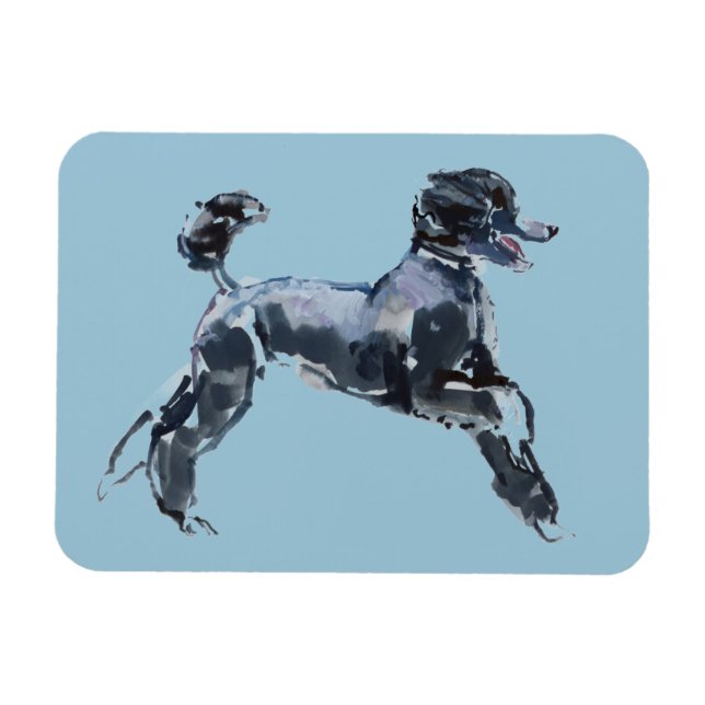 Sheer Class 2013 Magnet (Horizontal)