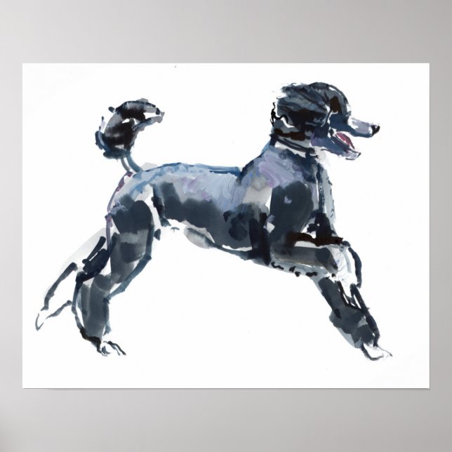 Sheer Class 2013 Poster (Front)