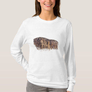 Sheer cliff rising above clouds T-Shirt