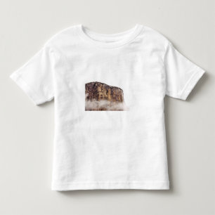 Sheer cliff rising above clouds toddler t-shirt