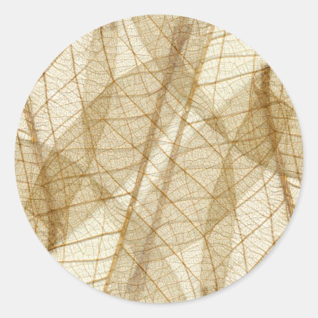 Sheer Cream Beige Lace Leaves Classic Round Sticker (Front)