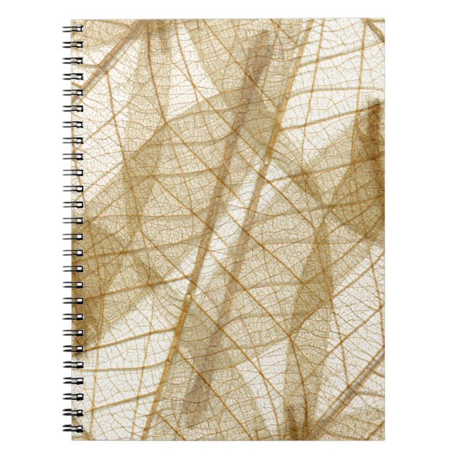 Sheer Cream Beige Lace Leaves Notebook (Front)