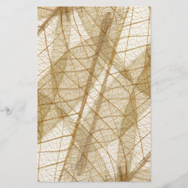 Sheer Cream Beige Lace Leaves Stationery (Front)