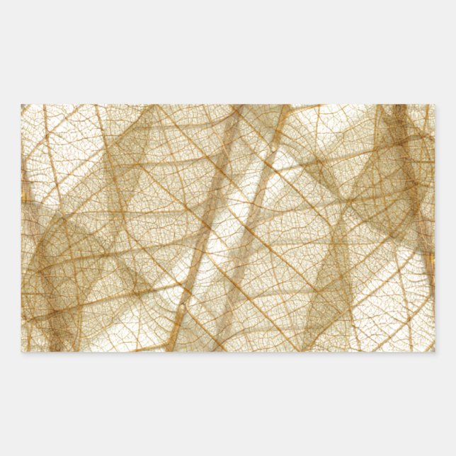 Sheer Cream Beige Lace Leaves Sticker (Front)